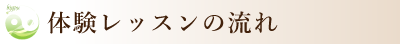 体験レッスンの流れ